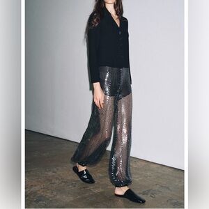 ZARA ZW COLLECTION SEQUIN BALLOON PANTS NWT XS, S, Retail $179